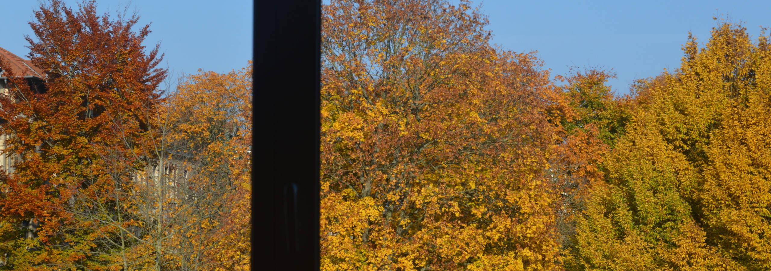 Automne vu des bureaux