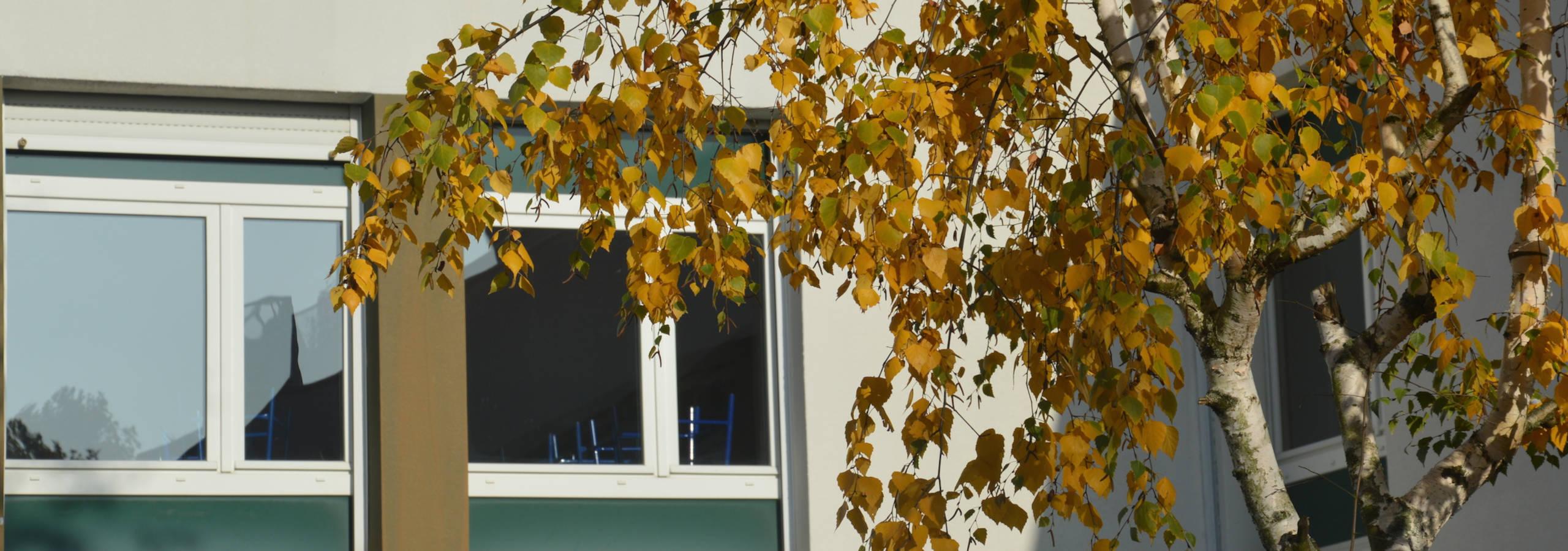 Couleurs d'automne