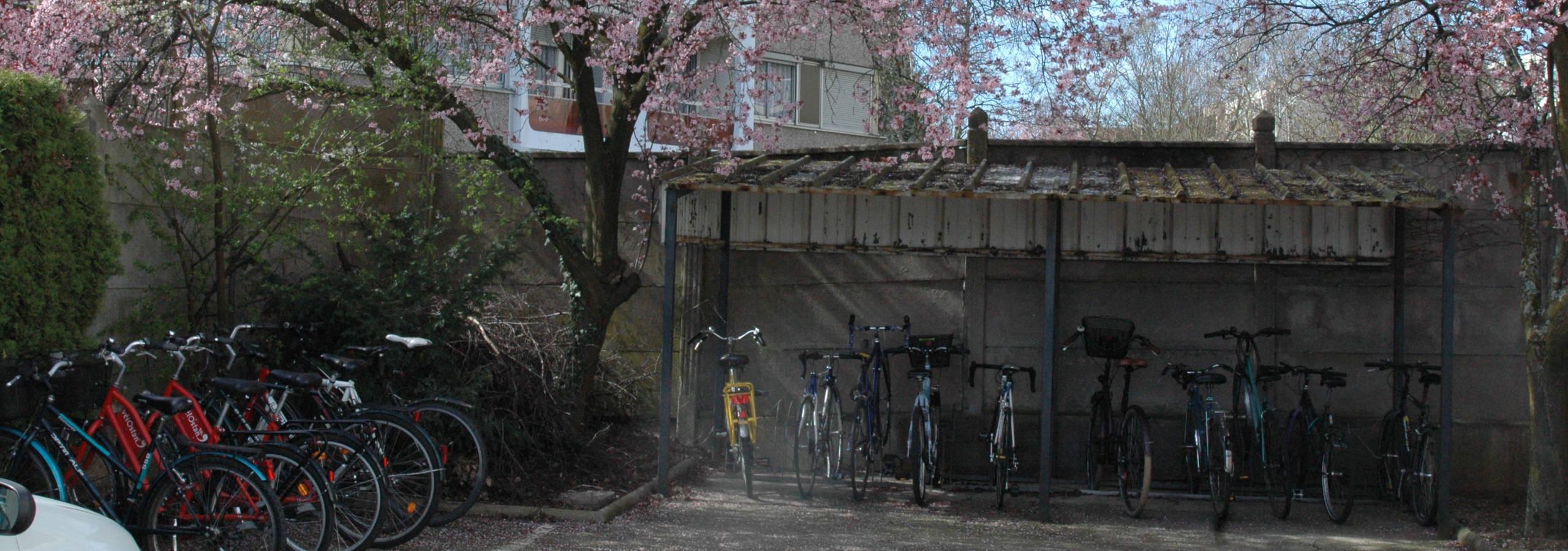 Abri à vélos